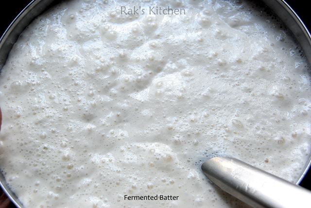 fermented batter