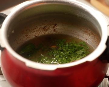 Add water, mint, coriander
