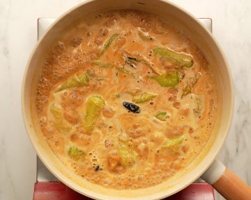 Mix Mirchi Ka Salan well
